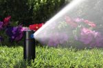 pop up sprinkler