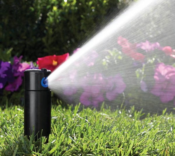 pop up sprinkler