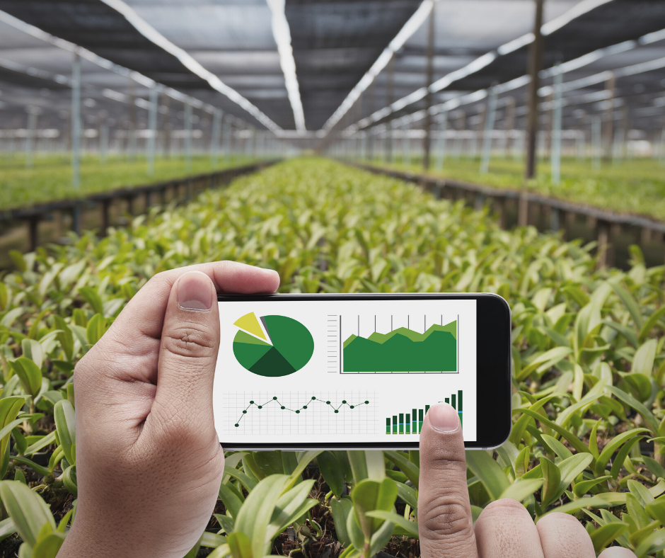 Winter irrigation of plants