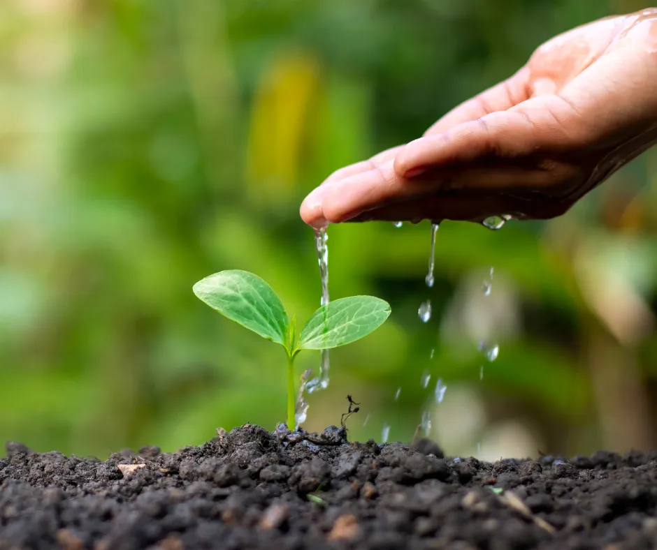 Unveiling the Essential Irrigation Parts