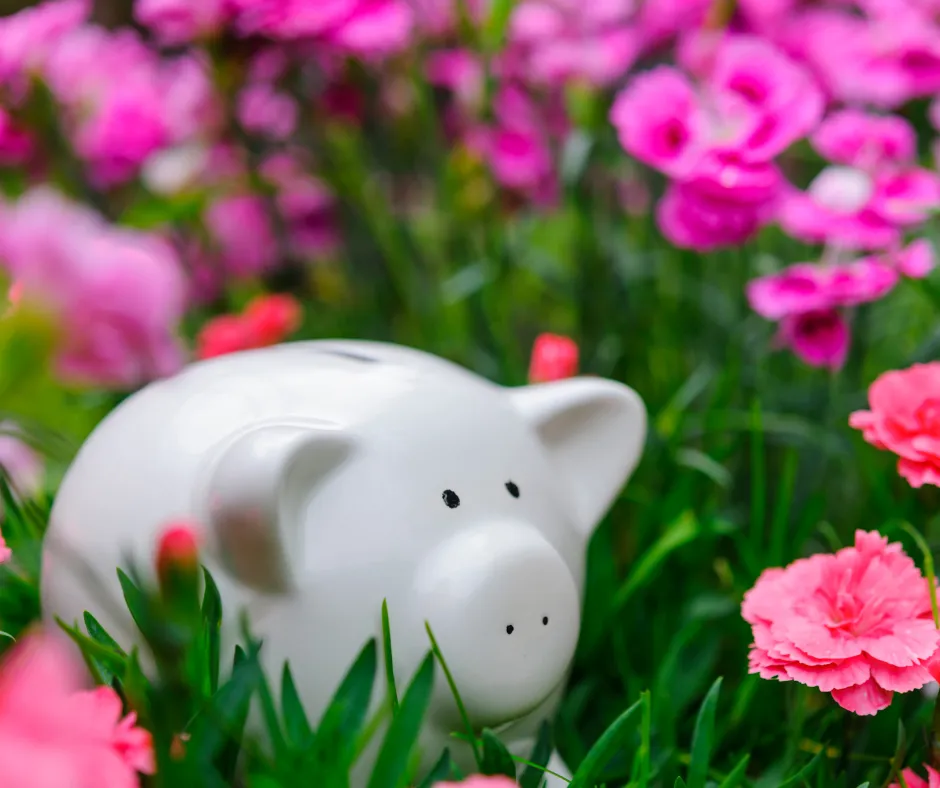 How Can I Save Money on Garden Irrigation or Sprinkler Systems?