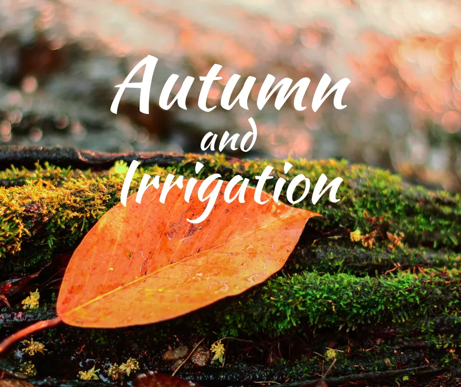 Autumn and irrigation system