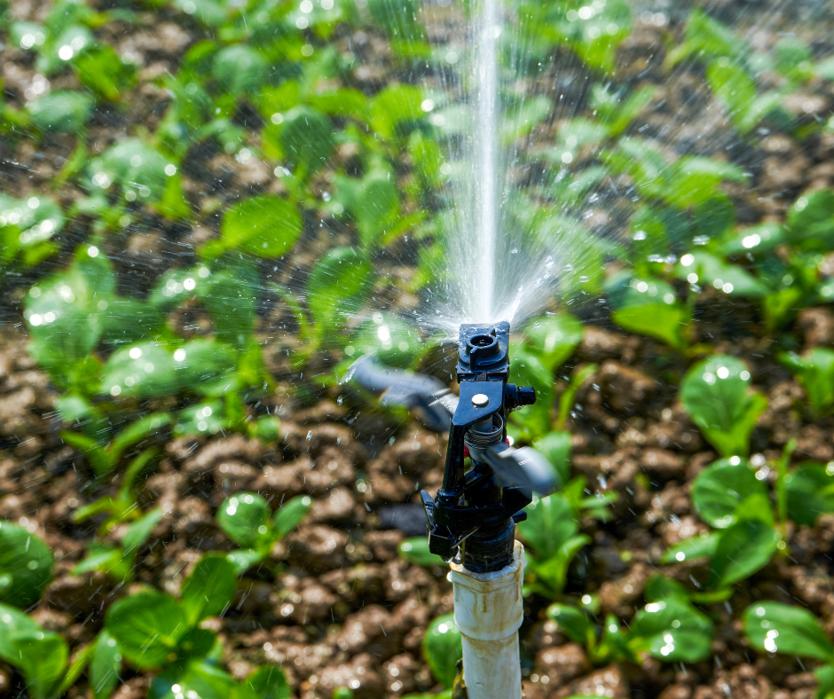 sprinklers uk