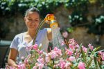 garden hose gun