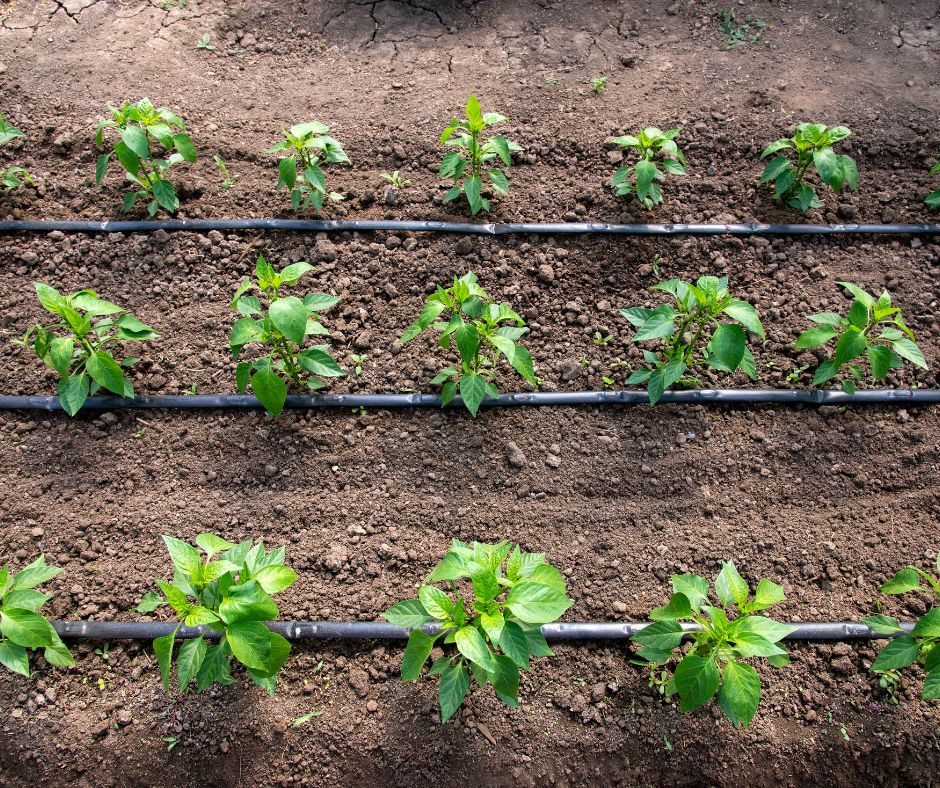 drip irrigation system
