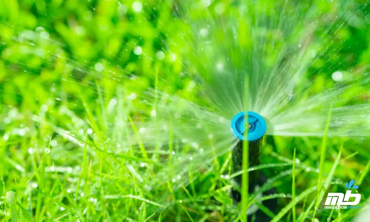 sprinkler system for gardens