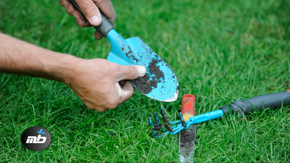 Clean Off Dirt and Debris