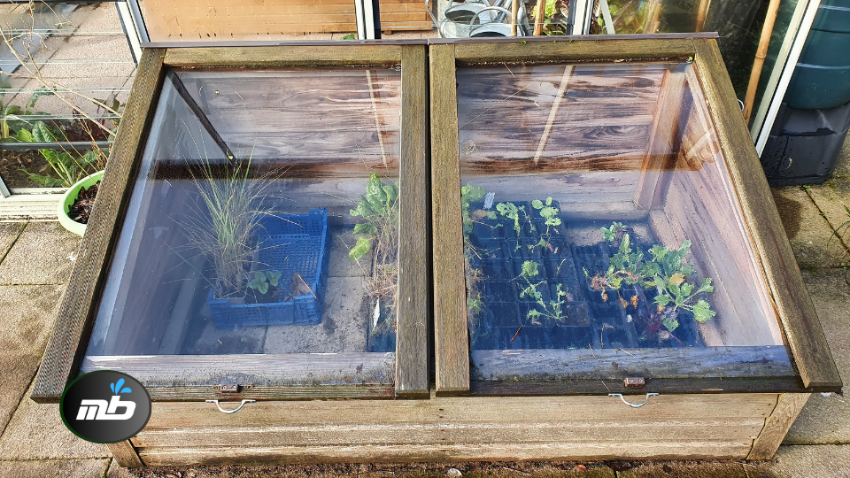 Maintain Greenhouses and Cold Frames