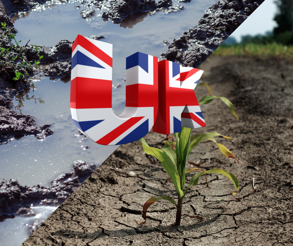 Irrigation System in England