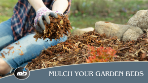 Mulch your garden beds