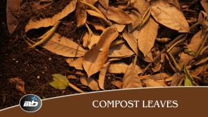 Compost Leaves