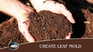 Create Leaf Mold