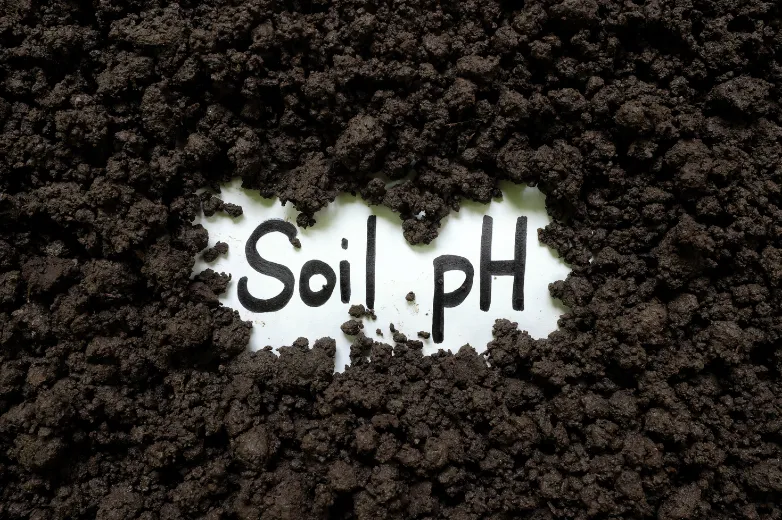 soil ph