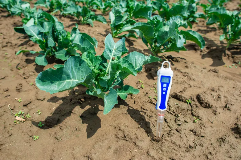 test soil ph
