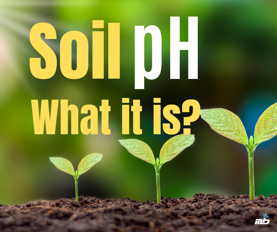 When Soil Is Too Acidic. Fixing Your Soil.