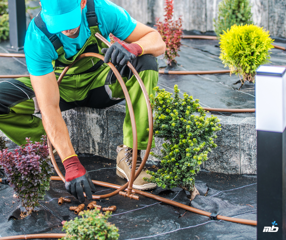 How to Install a Drip Irrigation System In Your Garden