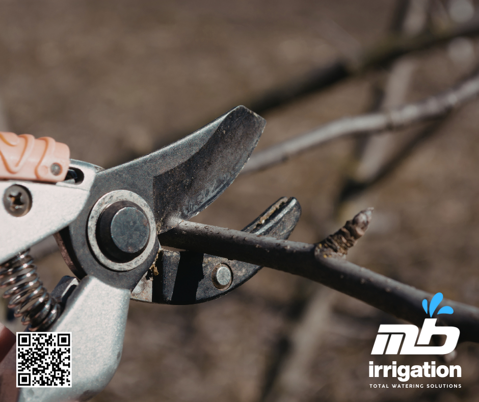 Harnessing Early Spring Pruning for Bushy Growth