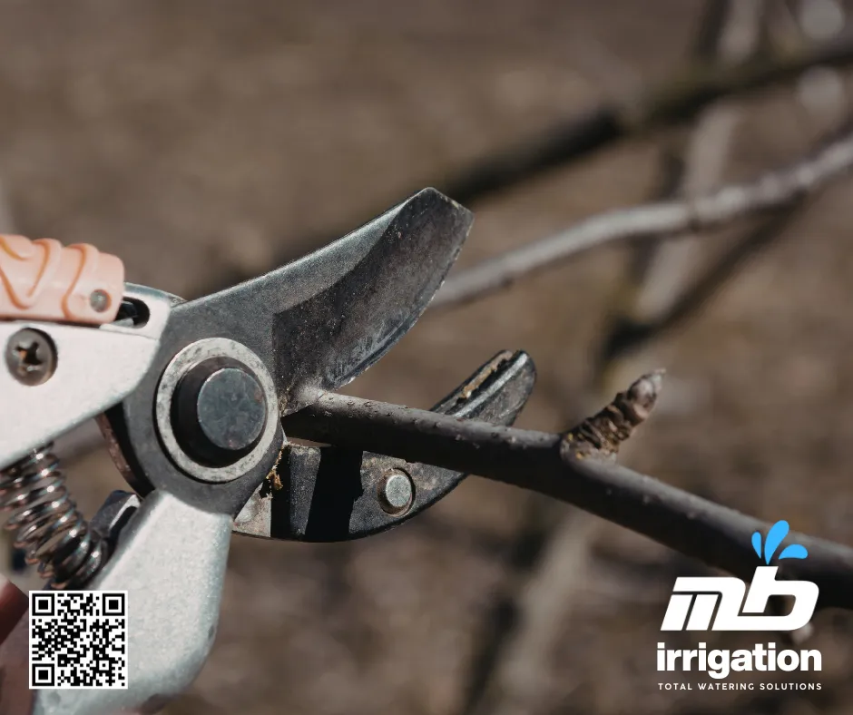 Harnessing Early Spring Pruning for Bushy Growth