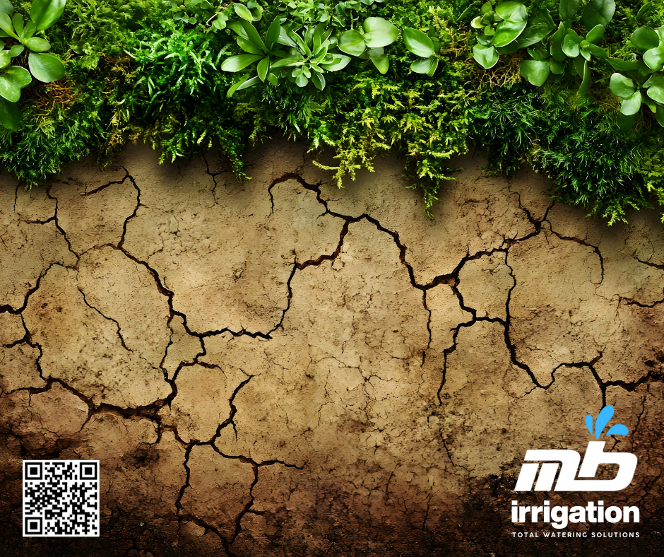 Soil and Plant Water Needs