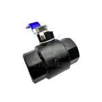 Nylon Ball Valve Female - Female 1" Thread