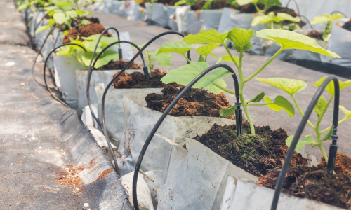 Efficient irrigation