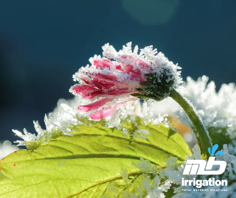 How to start up your irrigation system after winter?