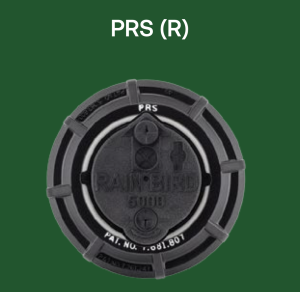 5004 PCR PRS