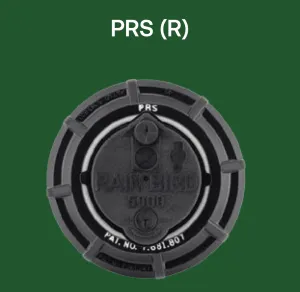 5004 PCR PRS