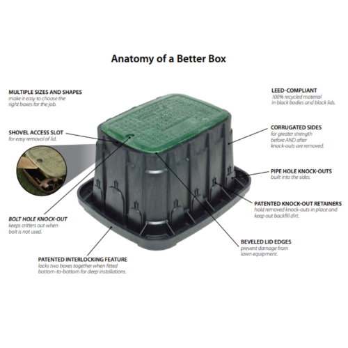 Inside view of Rain Bird Standard Valve Box housing irrigation solenoid valves