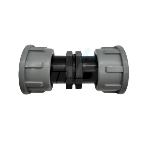 Tavlit Swivel Coupler 1" F x 1" F (BSP)