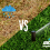 Why Rain Isn’t Enough: The Power of Automatic Irrigation
