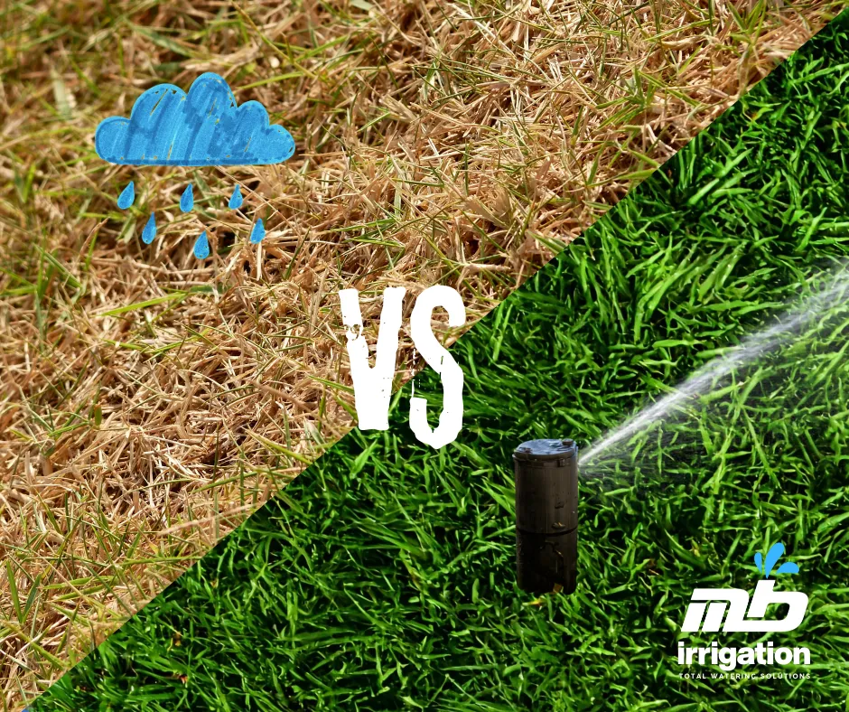 Why Rain Isn’t Enough: The Power of Automatic Irrigation