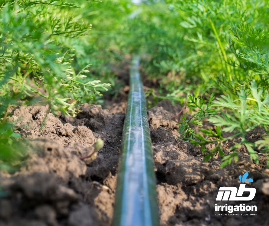 garden drip irrigation system installation UK